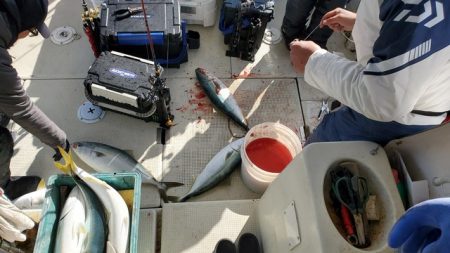 遊漁船　ニライカナイ 釣果