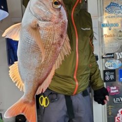 遊漁船 ニライカナイ 釣果