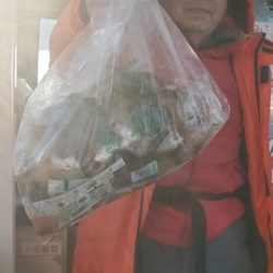 遊漁船 ニライカナイ 釣果