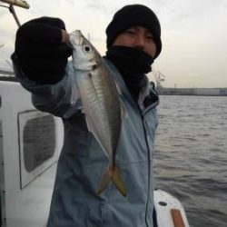あい川丸 釣果