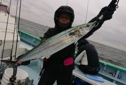 KONAYAーMARU(こなや丸) 釣果