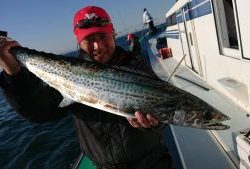 KONAYAーMARU(こなや丸) 釣果