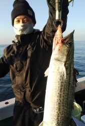 恵比寿丸（兵庫） 釣果