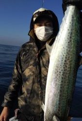 恵比寿丸（兵庫） 釣果