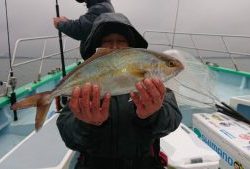 KONAYAーMARU(こなや丸) 釣果