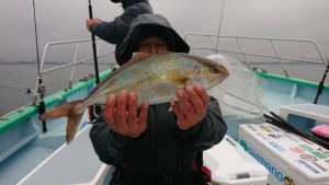 KONAYAーMARU(こなや丸) 釣果