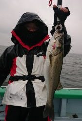 KONAYAーMARU(こなや丸) 釣果