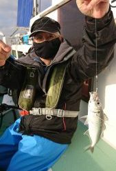 ＫＯＮＡＹＡｰＭＡＲＵ（こなや丸） 釣果