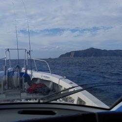 フィッシングボートACE(エース) 釣果