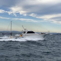 フィッシングボートACE(エース) 釣果