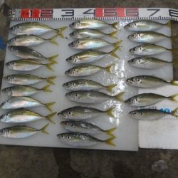 のとじま臨海公園海づりセンター 釣果