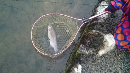 フィッシングエリア帝釈 釣果