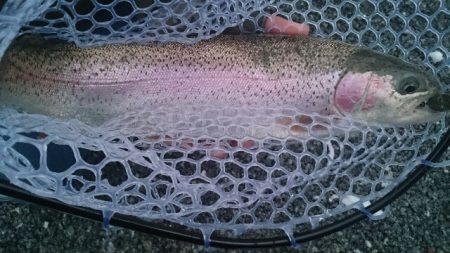 フィッシングエリア帝釈 釣果