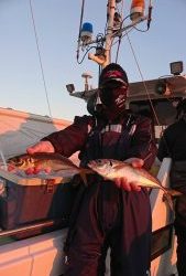 KONAYAーMARU(こなや丸) 釣果