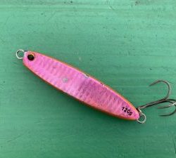 ＫＯＮＡＹＡｰＭＡＲＵ（こなや丸） 釣果