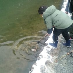 フィッシングエリア帝釈 釣果