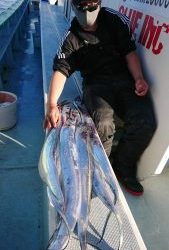 KONAYAーMARU(こなや丸) 釣果