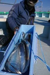 ＫＯＮＡＹＡｰＭＡＲＵ（こなや丸） 釣果