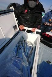 ＫＯＮＡＹＡｰＭＡＲＵ（こなや丸） 釣果