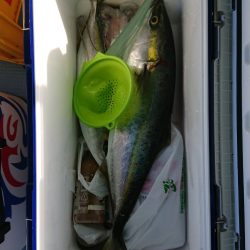 恵比寿丸(兵庫) 釣果