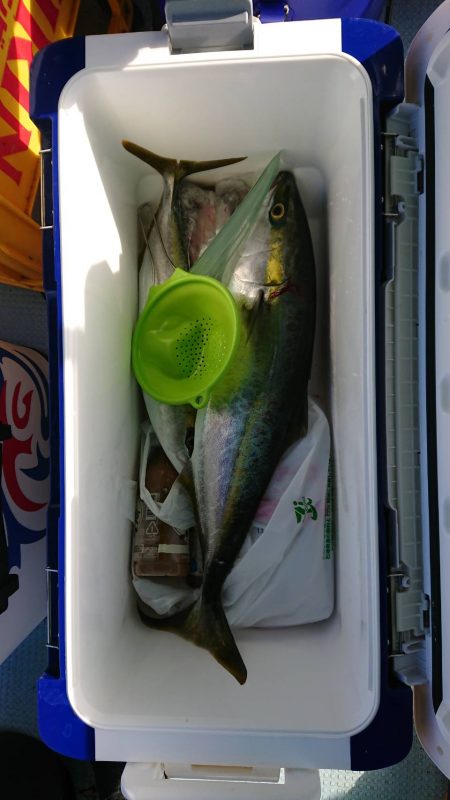 恵比寿丸(兵庫) 釣果