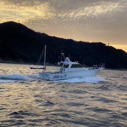 フィッシングボートACE(エース) 釣果