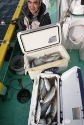 KONAYAーMARU(こなや丸) 釣果