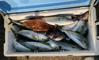 恵陽丸 釣果