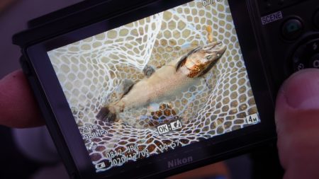 フィッシングレイクたかみや 釣果