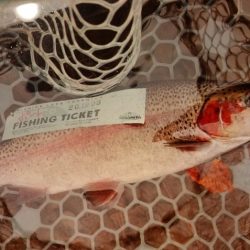 フィッシングレイクたかみや 釣果