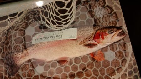 フィッシングレイクたかみや 釣果