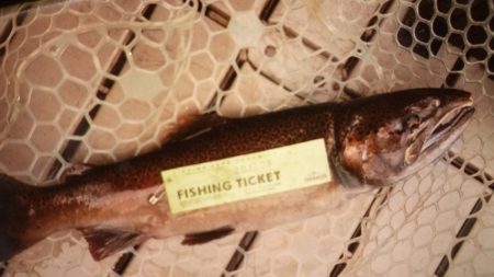 フィッシングレイクたかみや 釣果