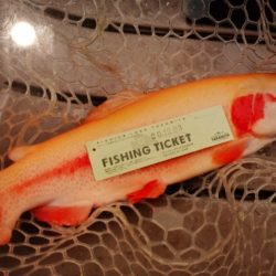 フィッシングレイクたかみや 釣果