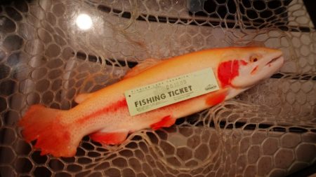 フィッシングレイクたかみや 釣果