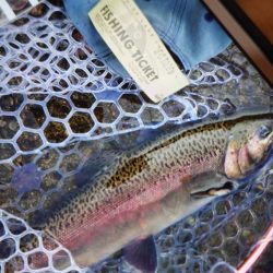 フィッシングレイクたかみや 釣果