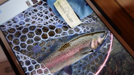 フィッシングレイクたかみや 釣果