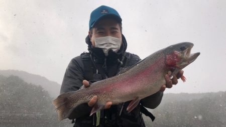 フィッシングレイクたかみや 釣果