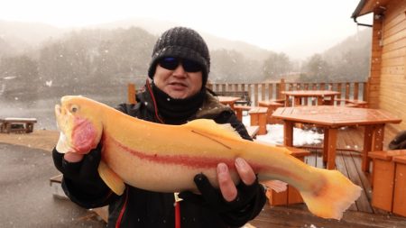 フィッシングレイクたかみや 釣果