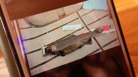 フィッシングレイクたかみや 釣果