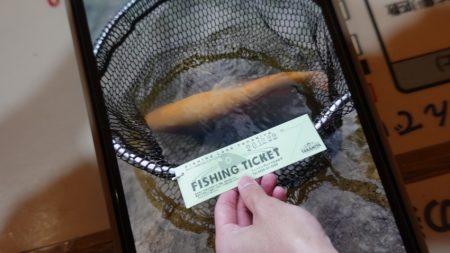 フィッシングレイクたかみや 釣果