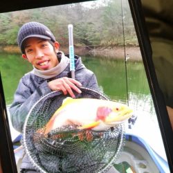 フィッシングレイクたかみや 釣果