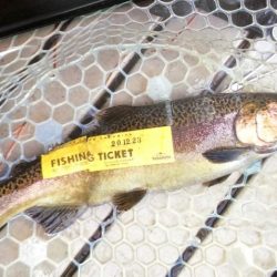 フィッシングレイクたかみや 釣果