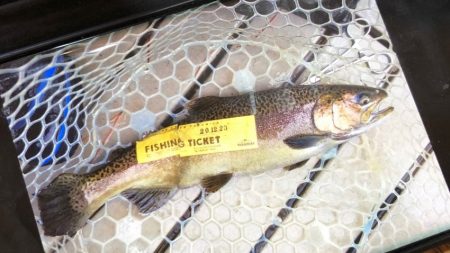 フィッシングレイクたかみや 釣果