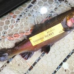 フィッシングレイクたかみや 釣果