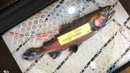 フィッシングレイクたかみや 釣果