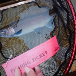 フィッシングレイクたかみや 釣果