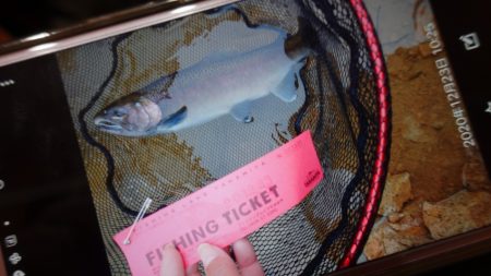 フィッシングレイクたかみや 釣果