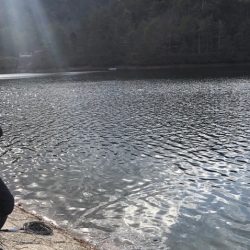 フィッシングレイクたかみや 釣果