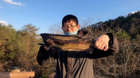 フィッシングレイクたかみや 釣果