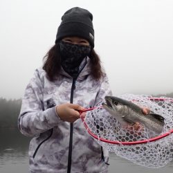 フィッシングレイクたかみや 釣果